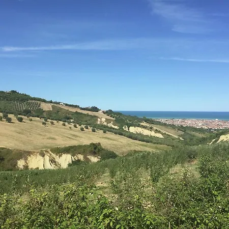 Ourson Colonnella